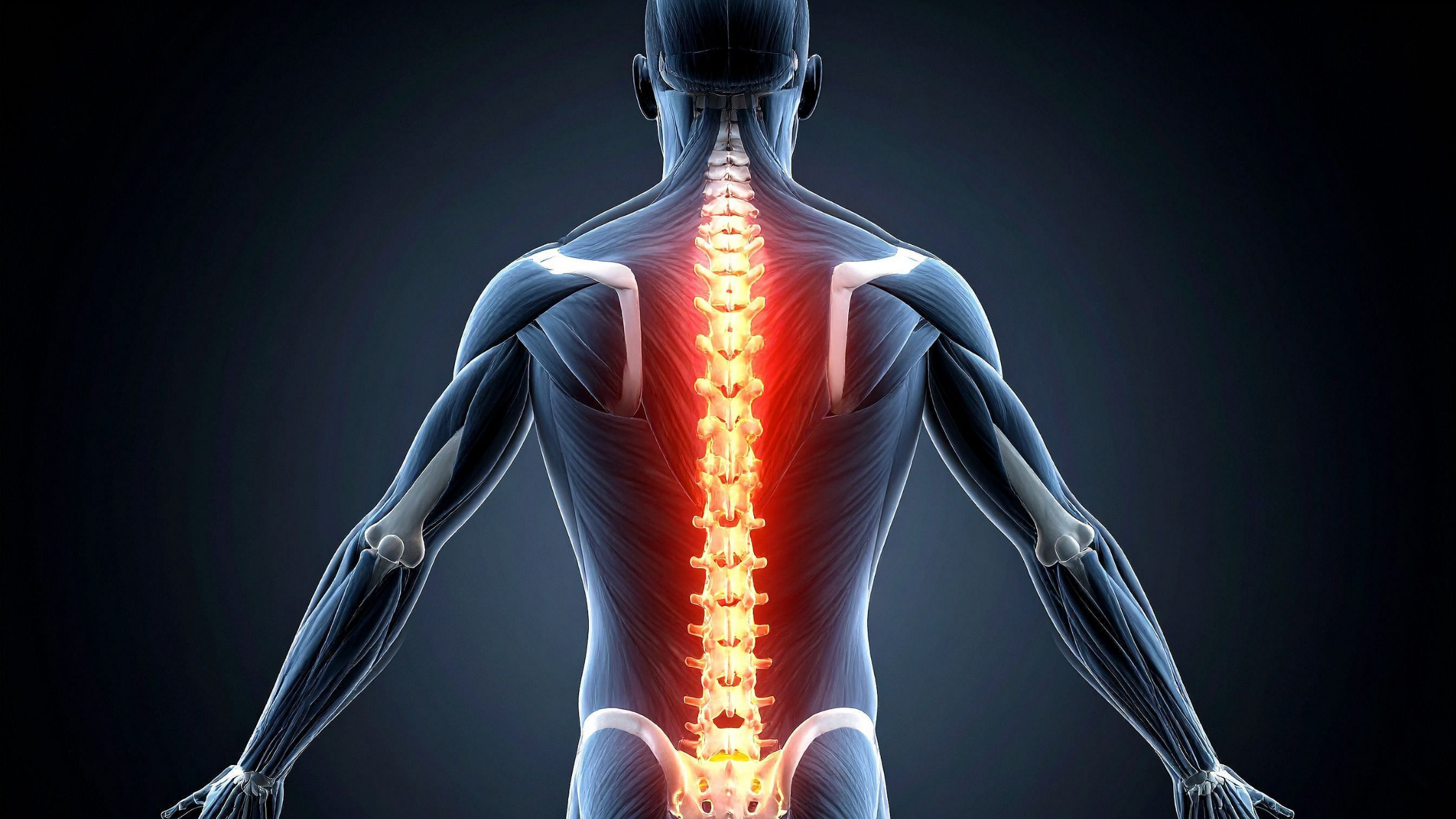 What to Expect From Non-Surgical Spinal Decompression Therapy What to Expect From Non-Surgical Spinal Decompression Therapy
